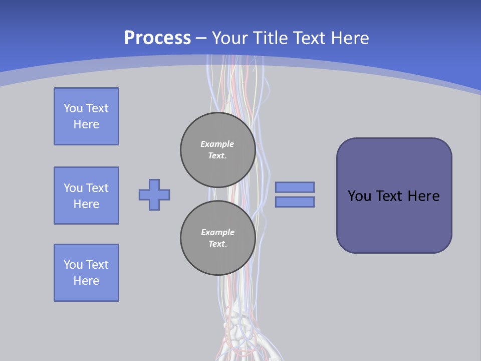 Elbow Red Science PowerPoint Template