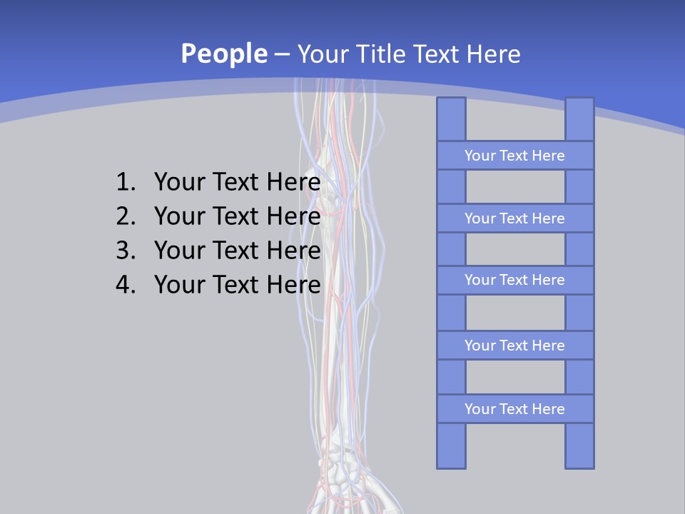 Elbow Red Science PowerPoint Template