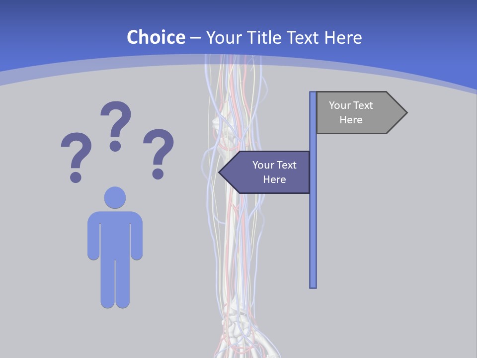 Elbow Red Science PowerPoint Template