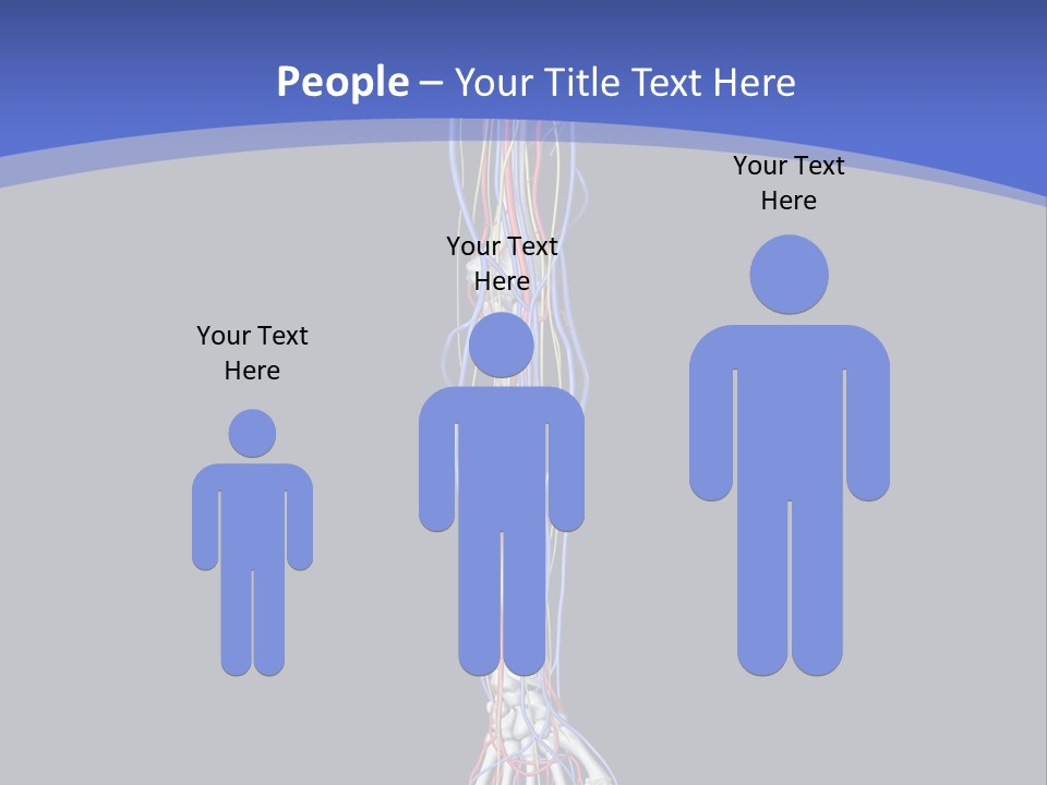 Elbow Red Science PowerPoint Template