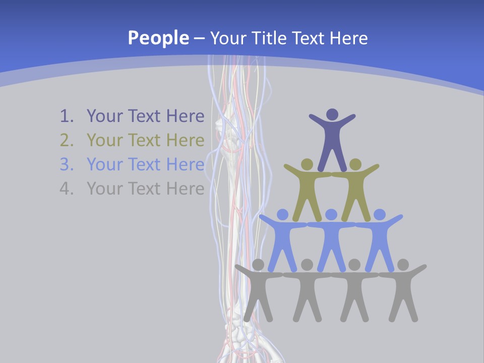 Elbow Red Science PowerPoint Template