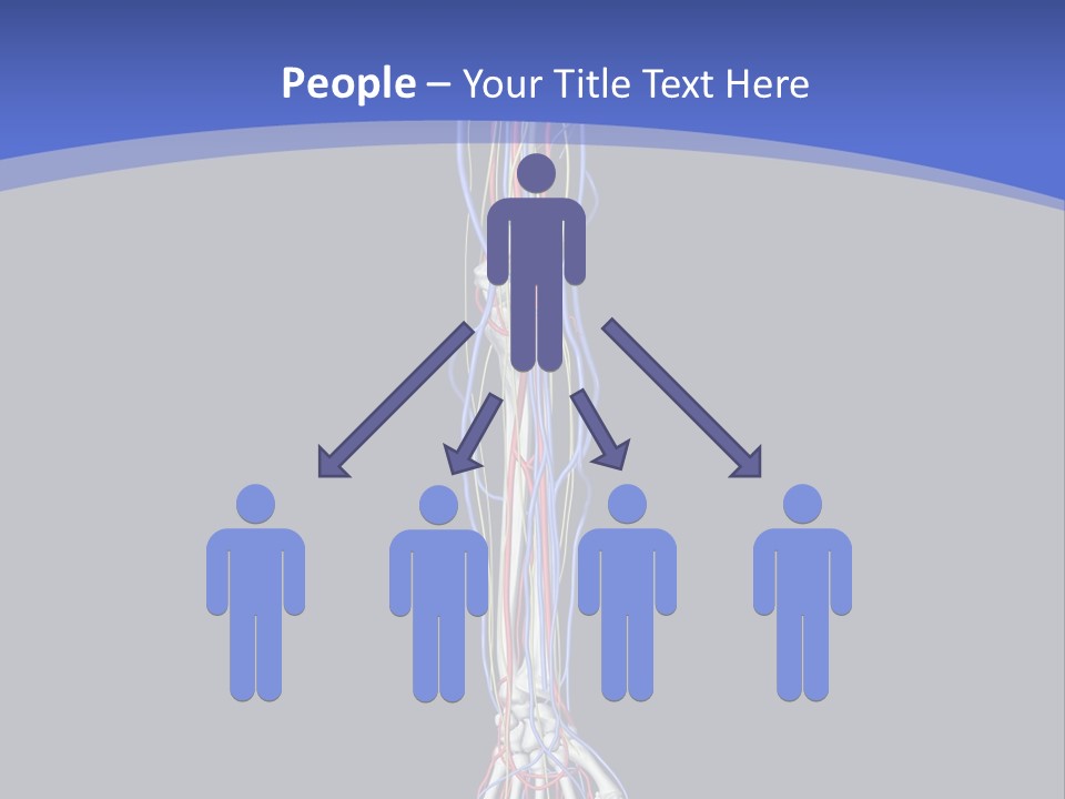 Elbow Red Science PowerPoint Template