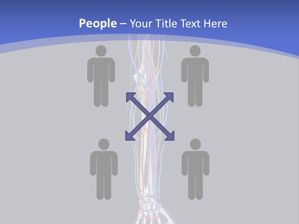 Elbow Red Science PowerPoint Template