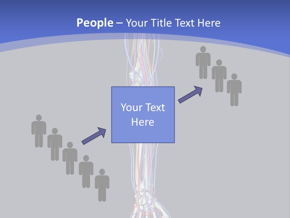 Elbow Red Science PowerPoint Template