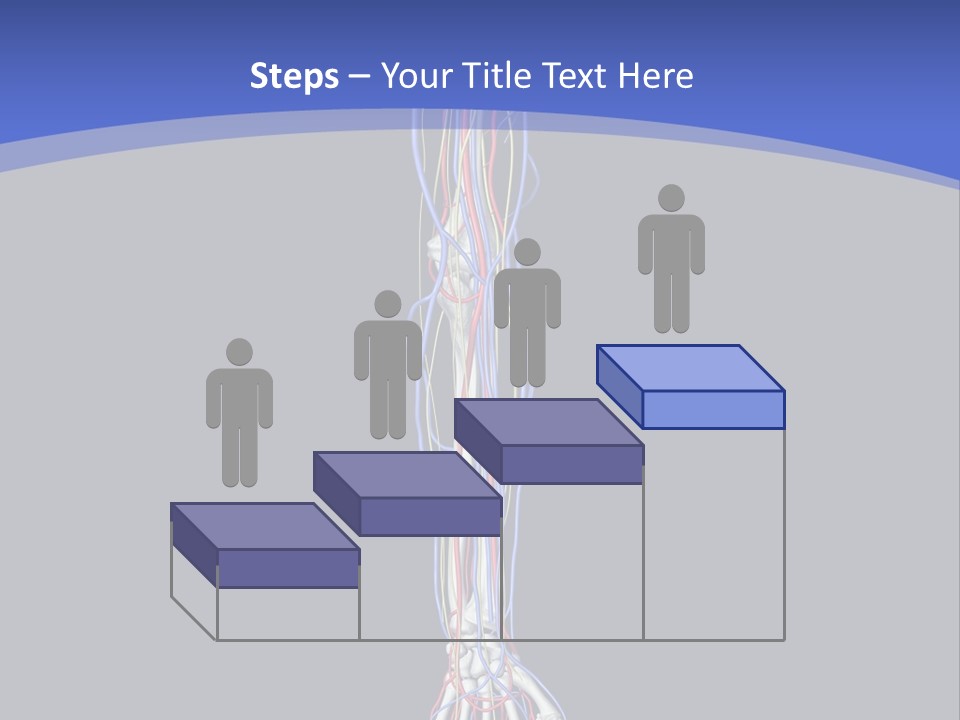 Elbow Red Science PowerPoint Template