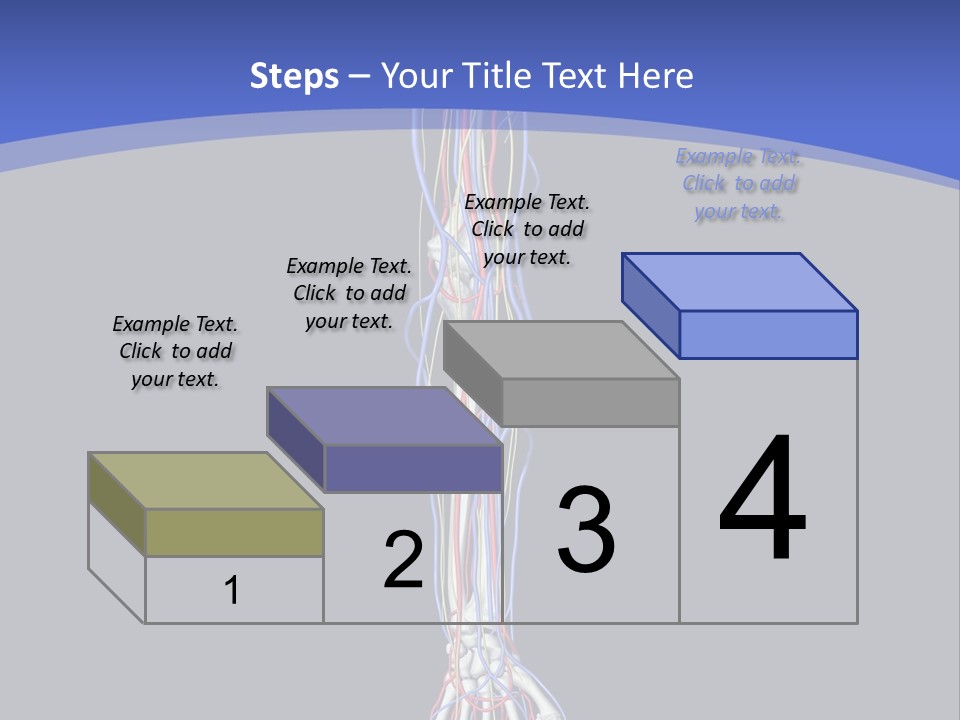 Elbow Red Science PowerPoint Template