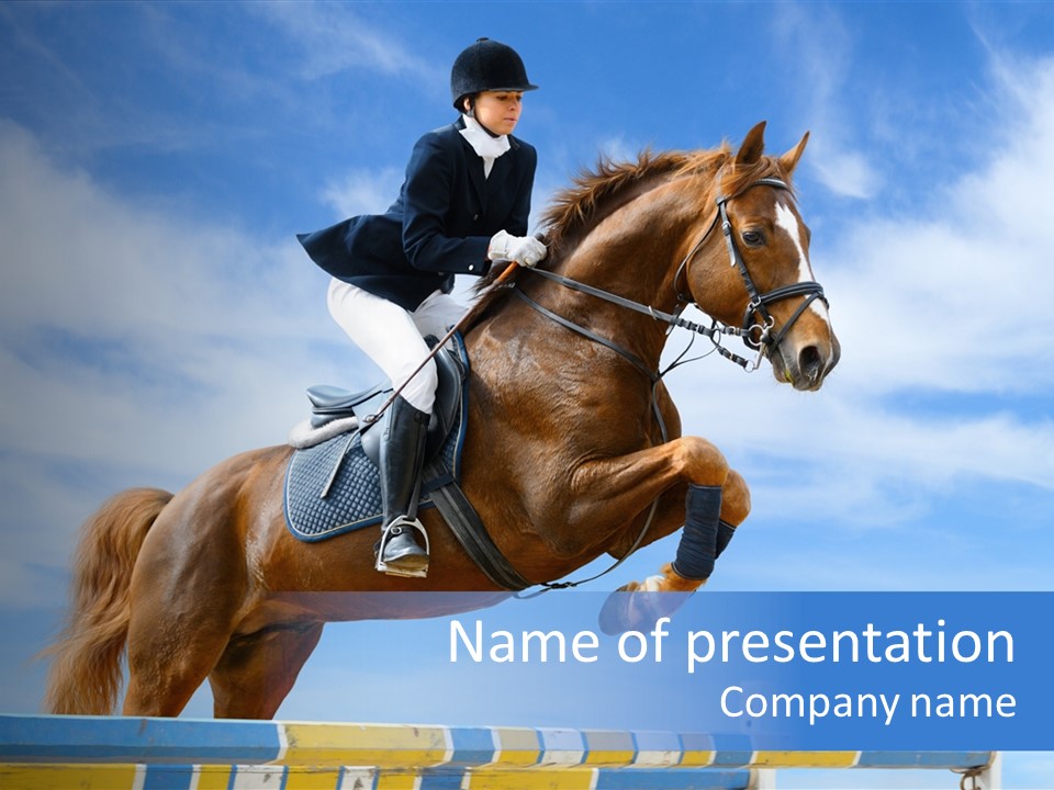 Fences Barrier Equestrian PowerPoint Template