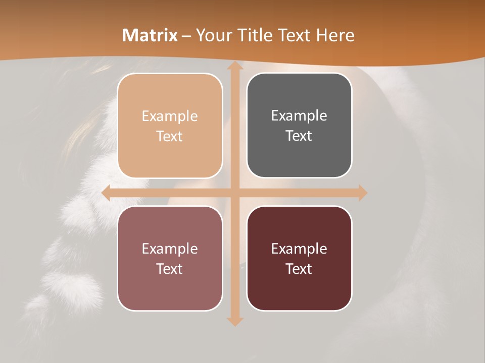 Skin Fashionable Nice PowerPoint Template