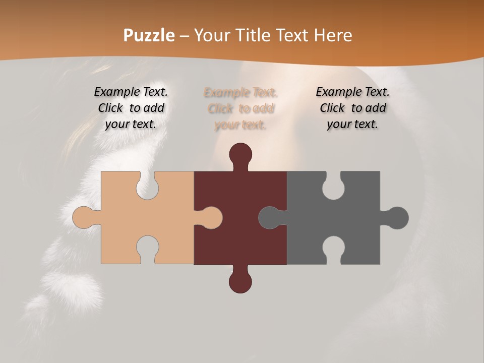 Skin Fashionable Nice PowerPoint Template