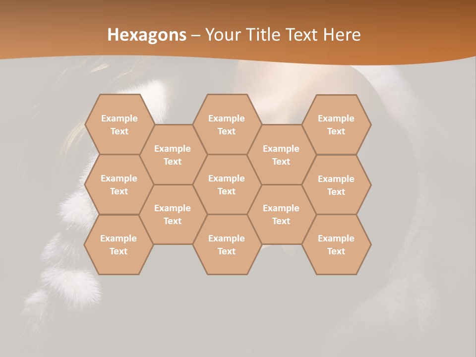 Skin Fashionable Nice PowerPoint Template