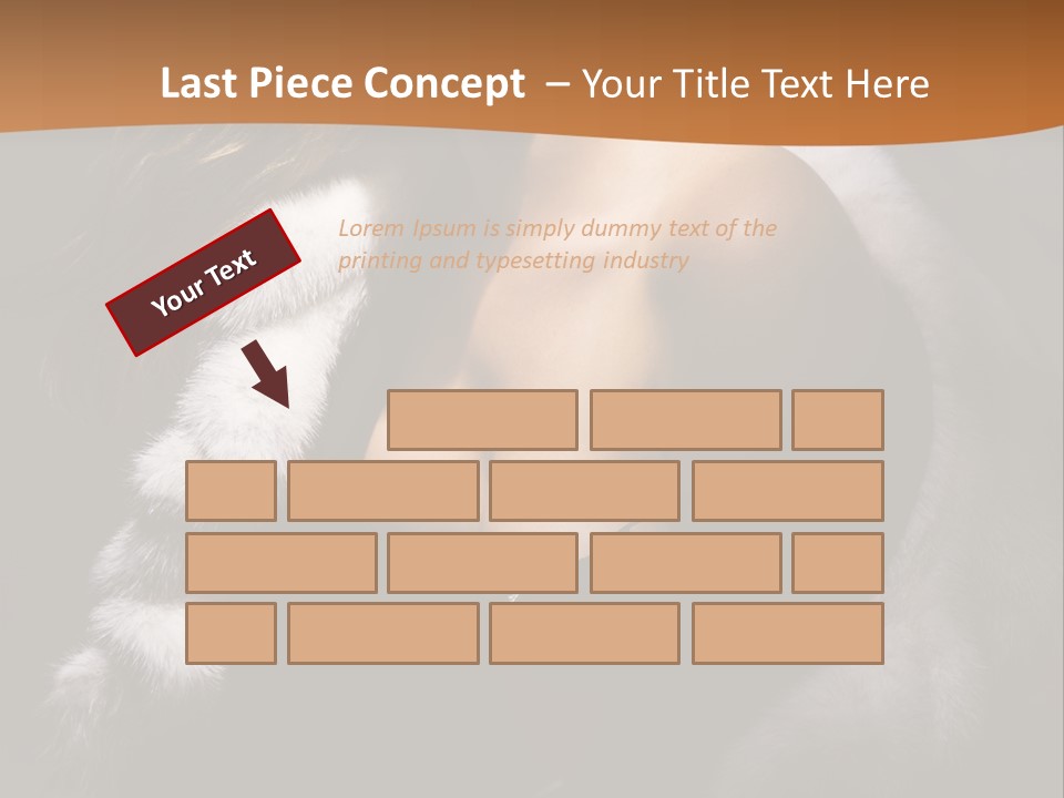 Skin Fashionable Nice PowerPoint Template