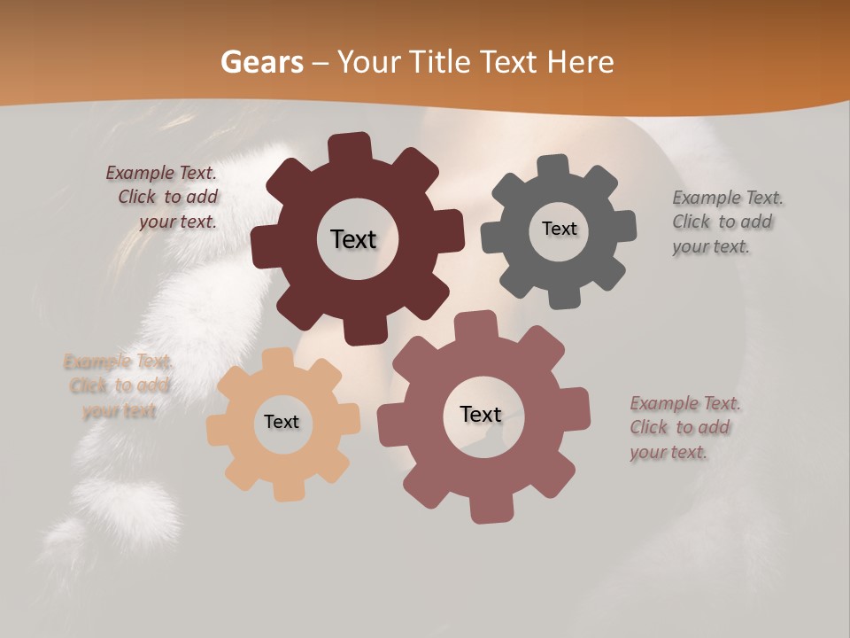 Skin Fashionable Nice PowerPoint Template