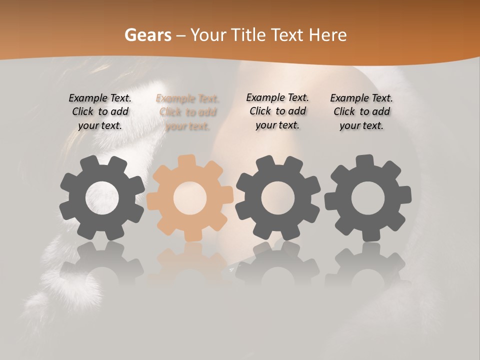 Skin Fashionable Nice PowerPoint Template