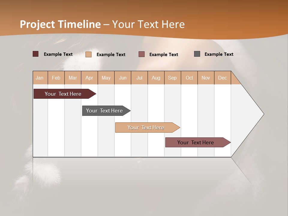 Skin Fashionable Nice PowerPoint Template