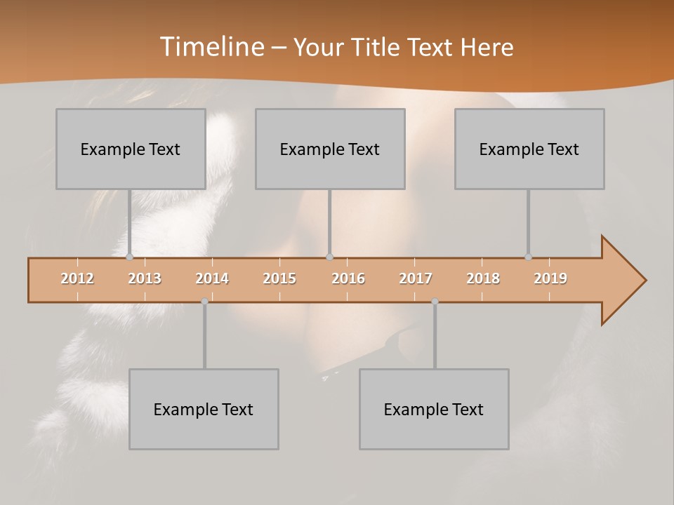 Skin Fashionable Nice PowerPoint Template