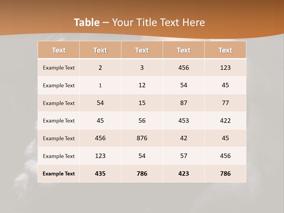 Skin Fashionable Nice PowerPoint Template