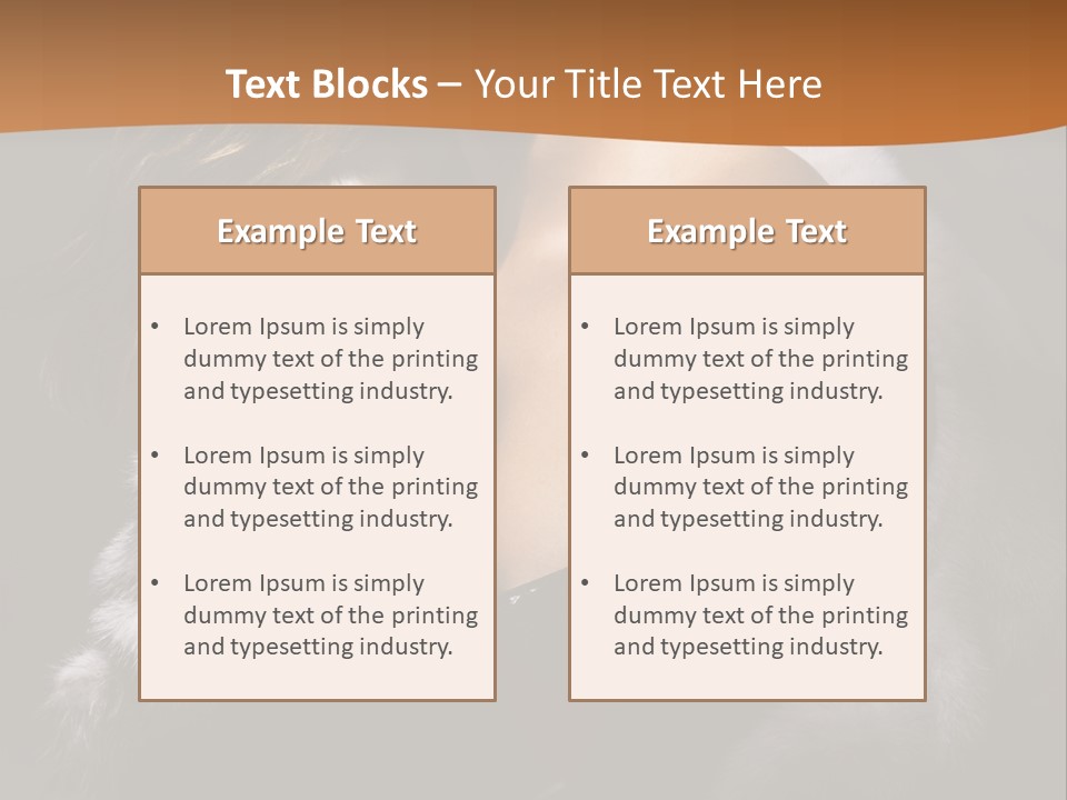 Skin Fashionable Nice PowerPoint Template
