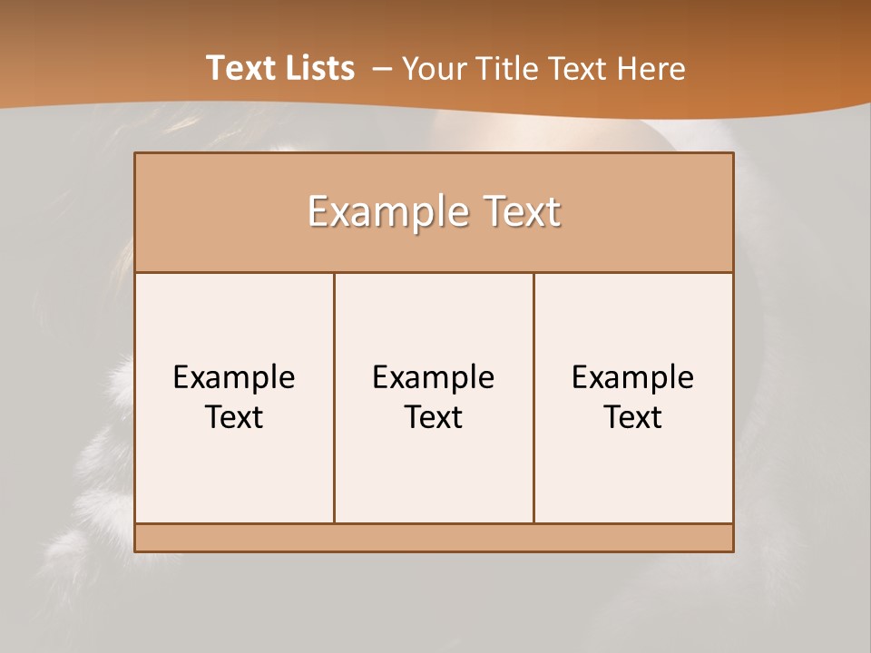 Skin Fashionable Nice PowerPoint Template