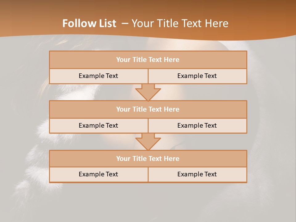 Skin Fashionable Nice PowerPoint Template