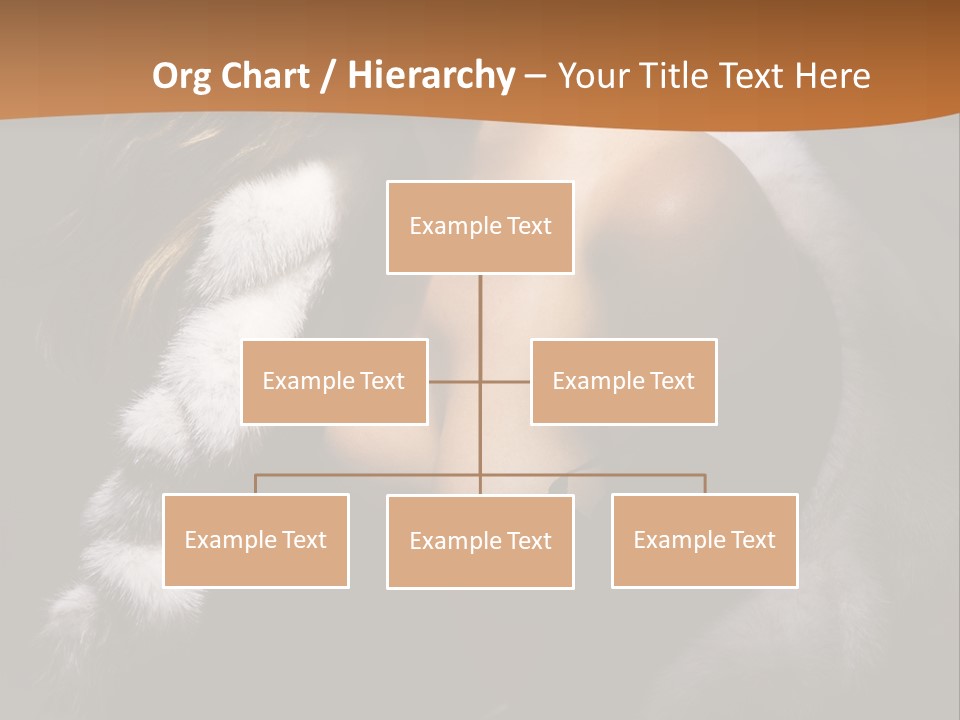 Skin Fashionable Nice PowerPoint Template