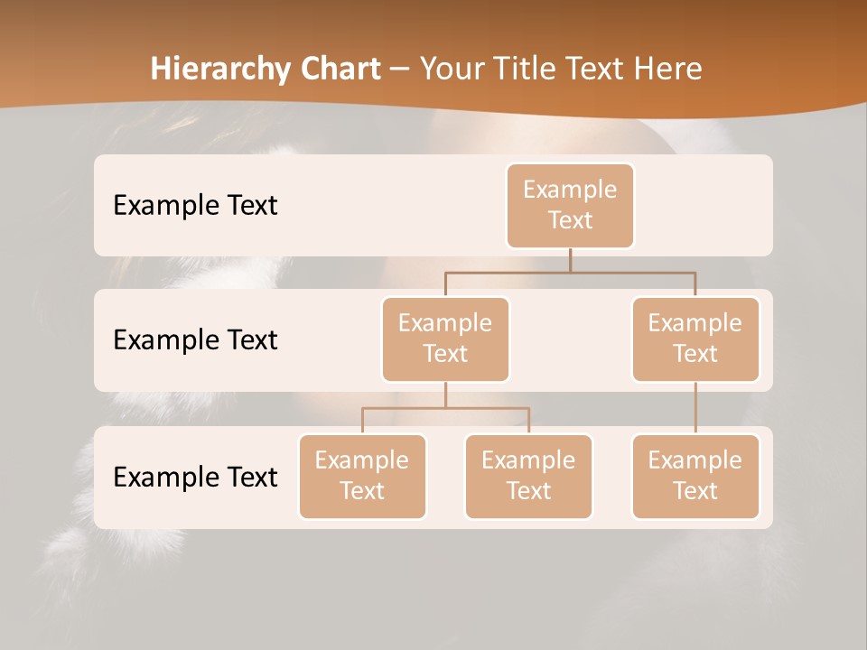 Skin Fashionable Nice PowerPoint Template