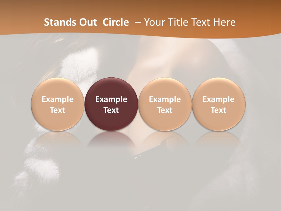 Skin Fashionable Nice PowerPoint Template