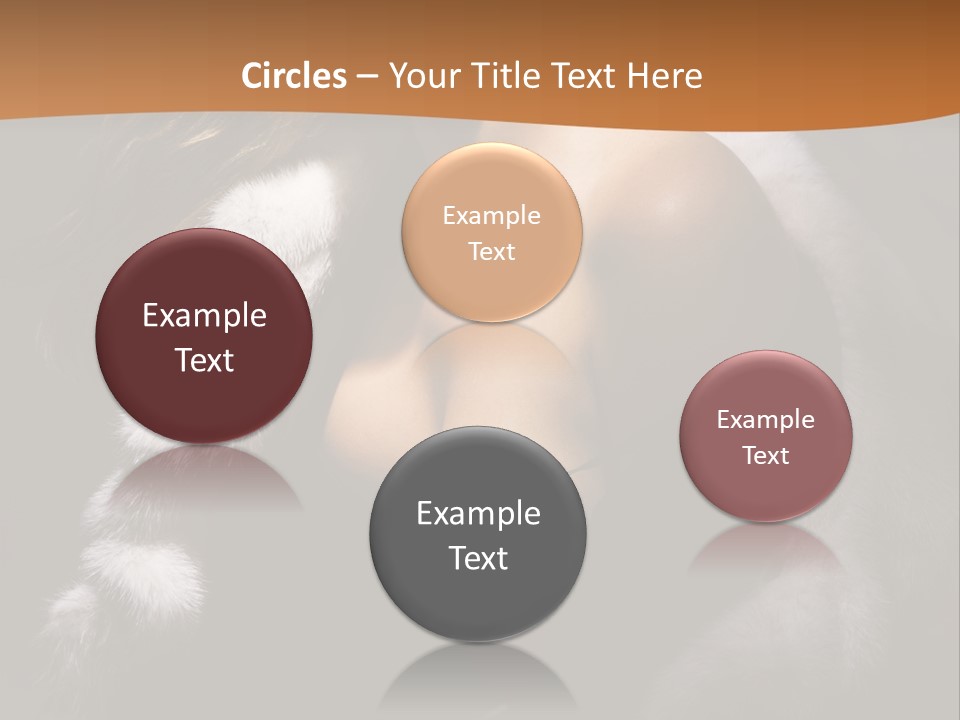 Skin Fashionable Nice PowerPoint Template