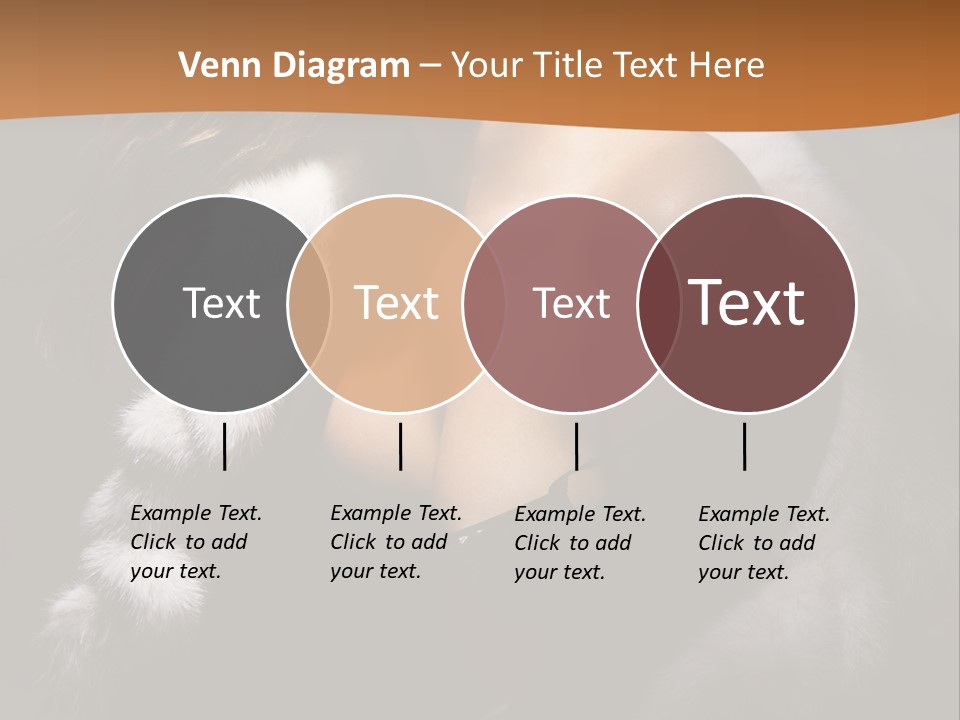 Skin Fashionable Nice PowerPoint Template