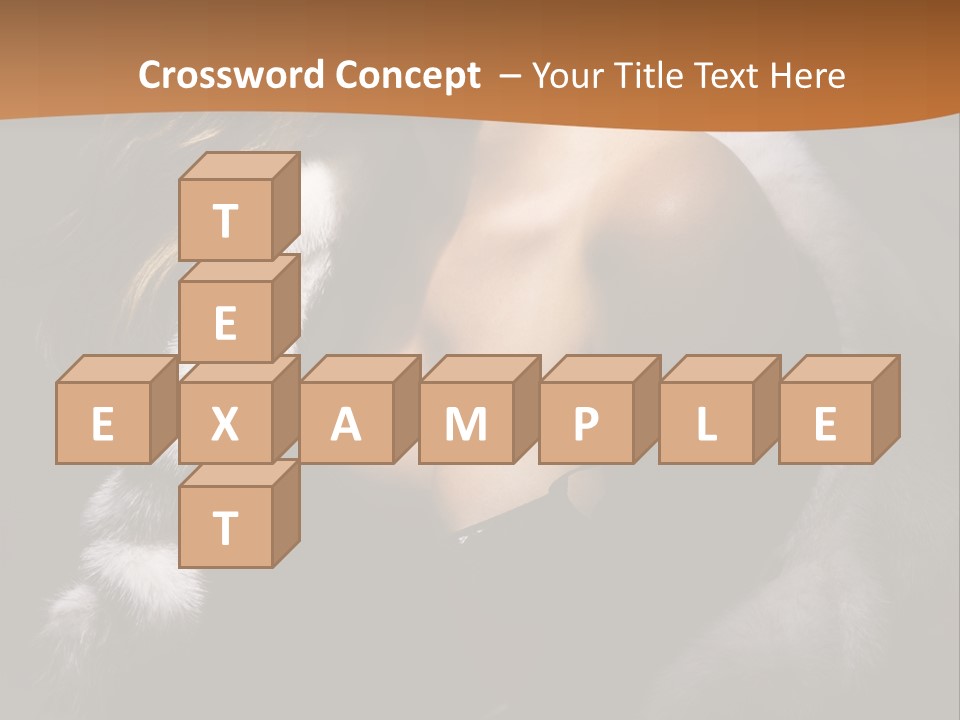 Skin Fashionable Nice PowerPoint Template