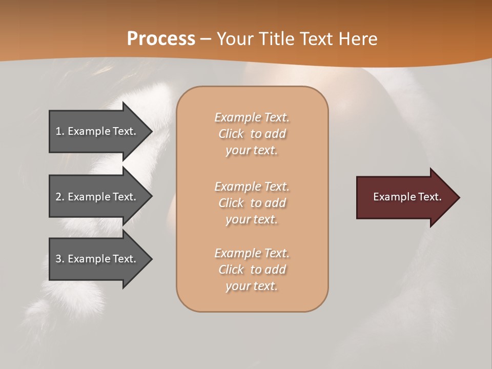 Skin Fashionable Nice PowerPoint Template