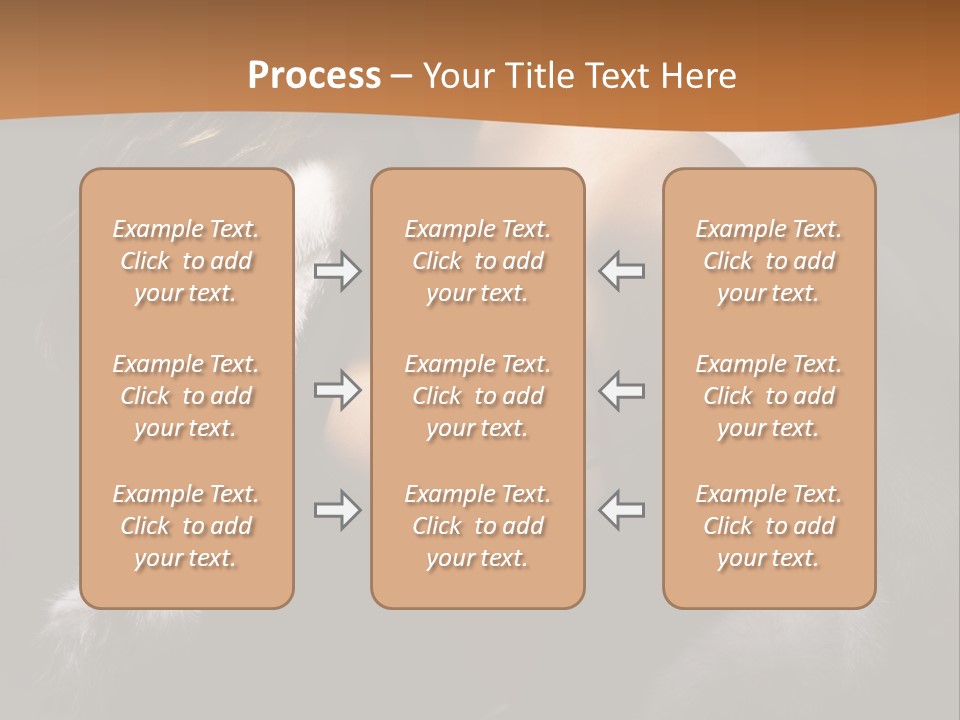 Skin Fashionable Nice PowerPoint Template