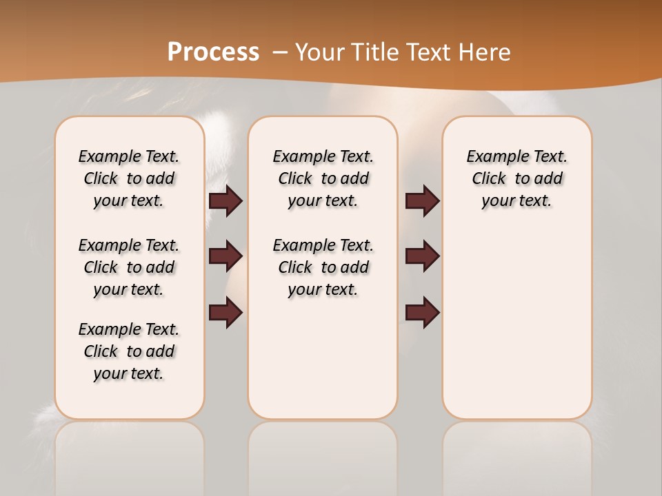 Skin Fashionable Nice PowerPoint Template