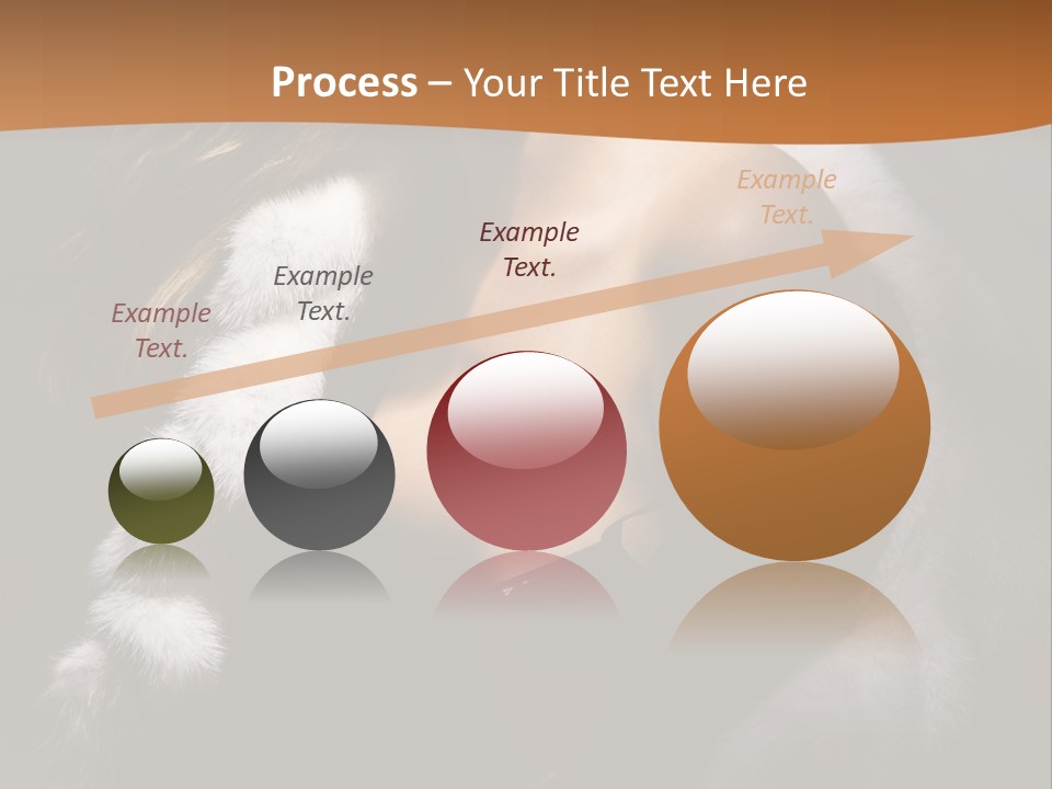 Skin Fashionable Nice PowerPoint Template