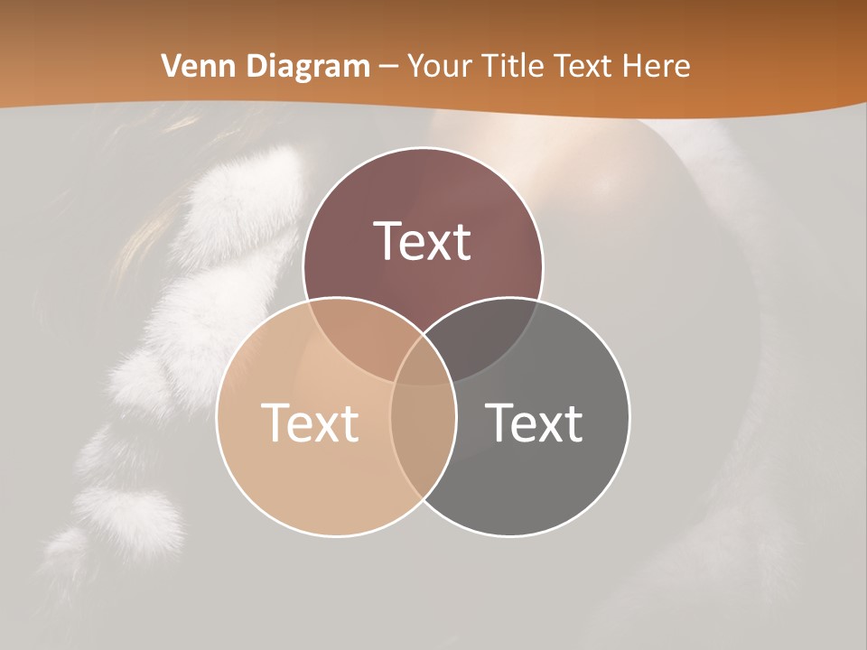 Skin Fashionable Nice PowerPoint Template