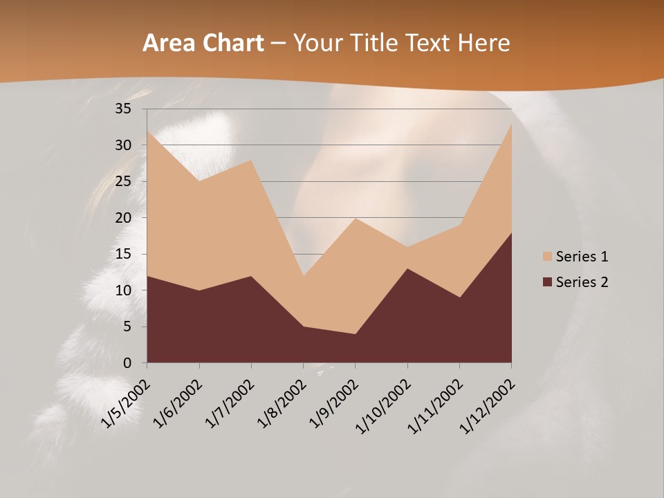 Skin Fashionable Nice PowerPoint Template