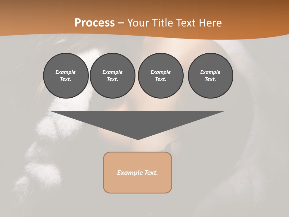 Skin Fashionable Nice PowerPoint Template