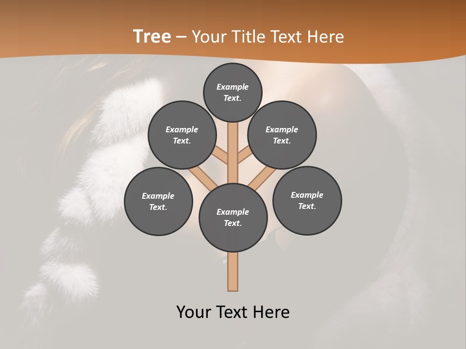 Skin Fashionable Nice PowerPoint Template