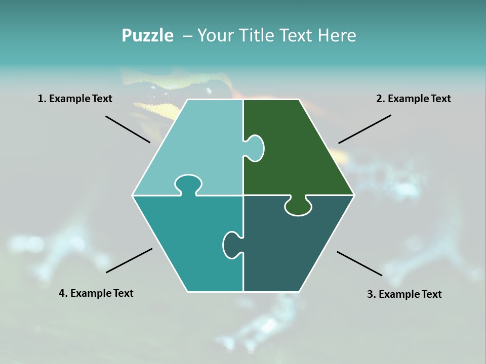 Black Colorful Amphibian PowerPoint Template