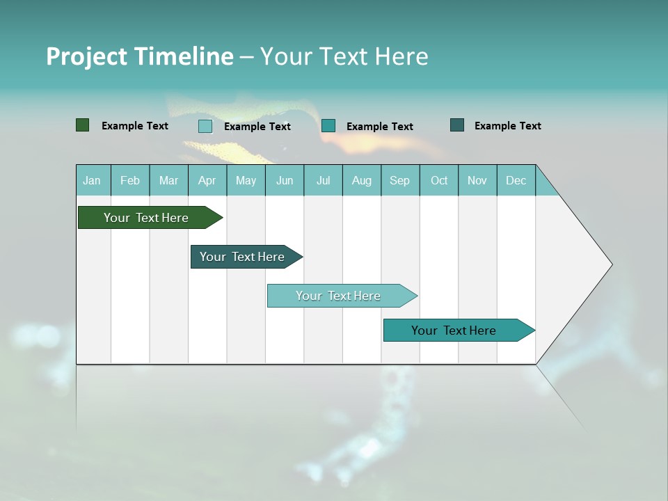Black Colorful Amphibian PowerPoint Template