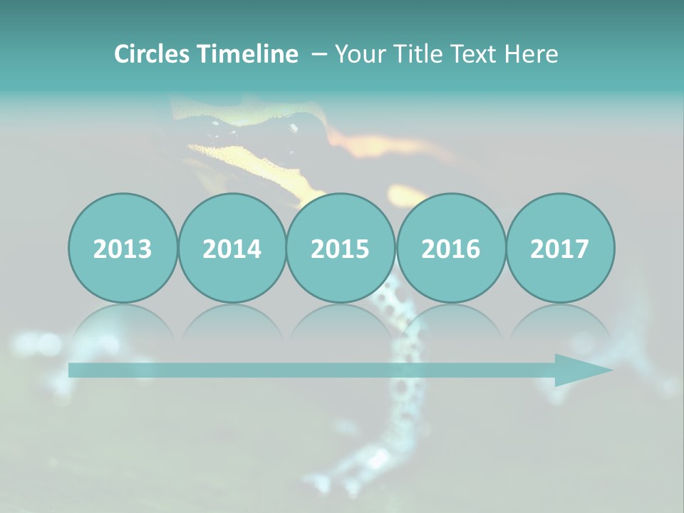 Black Colorful Amphibian PowerPoint Template