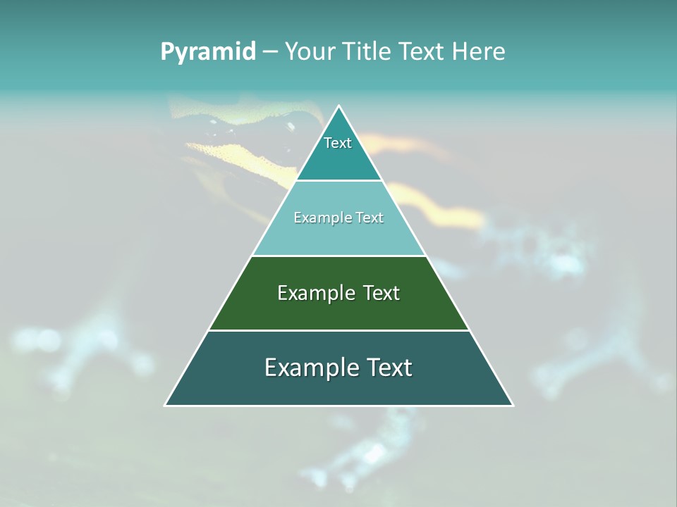 Black Colorful Amphibian PowerPoint Template