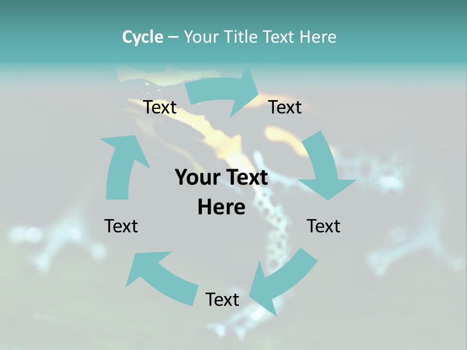 Black Colorful Amphibian PowerPoint Template