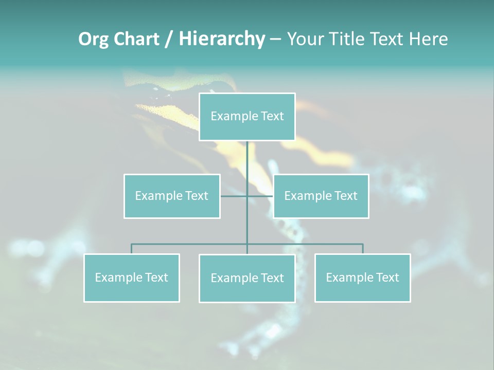 Black Colorful Amphibian PowerPoint Template