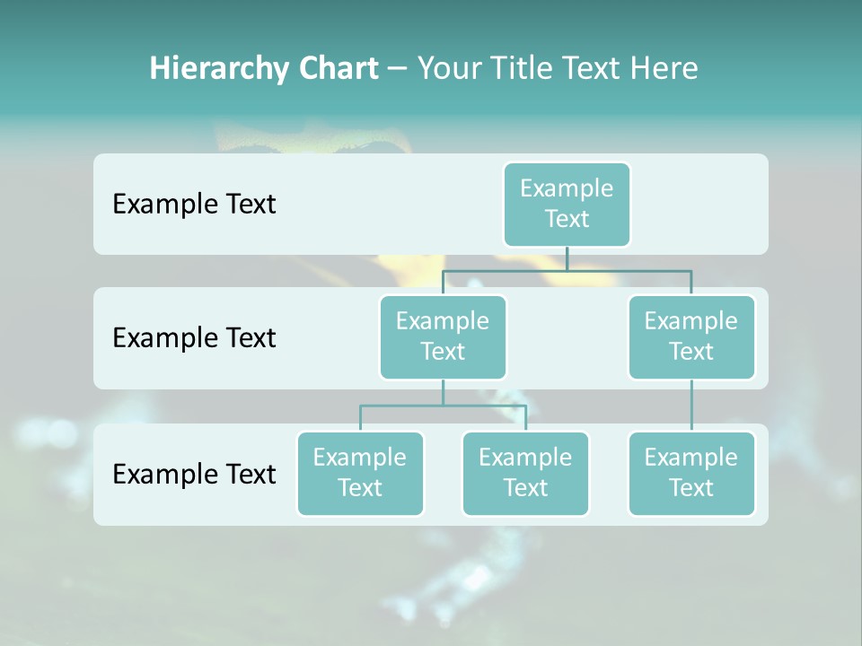 Black Colorful Amphibian PowerPoint Template