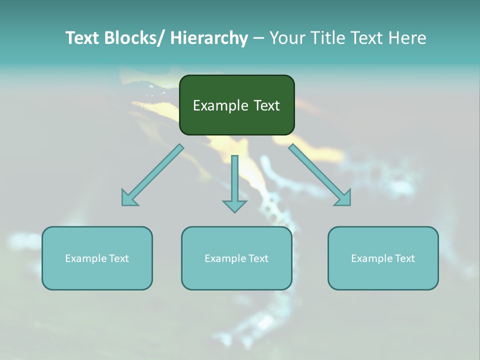 Black Colorful Amphibian PowerPoint Template