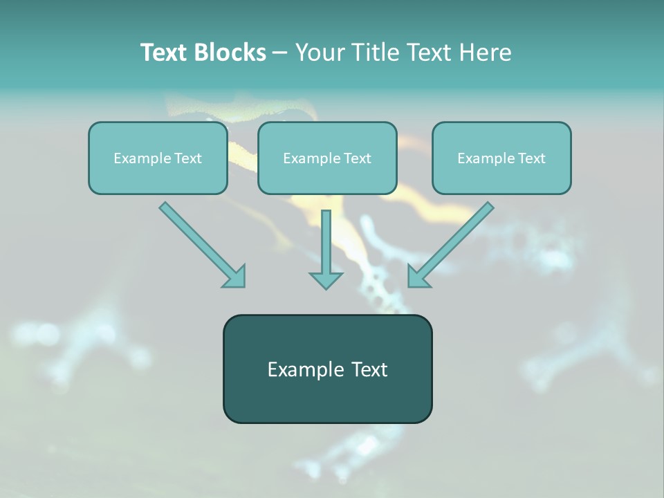 Black Colorful Amphibian PowerPoint Template