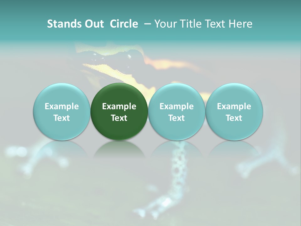 Black Colorful Amphibian PowerPoint Template