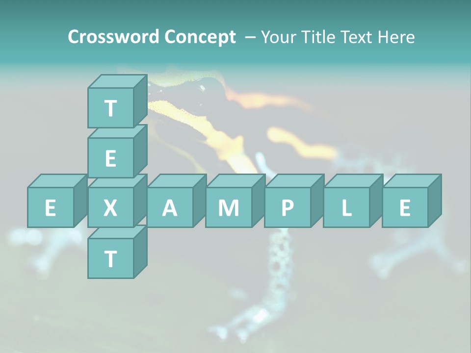 Black Colorful Amphibian PowerPoint Template