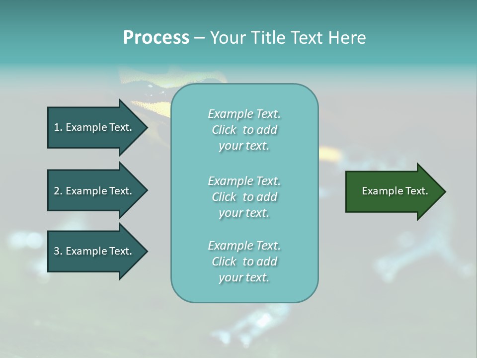 Black Colorful Amphibian PowerPoint Template