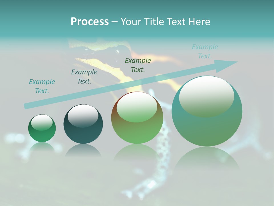 Black Colorful Amphibian PowerPoint Template